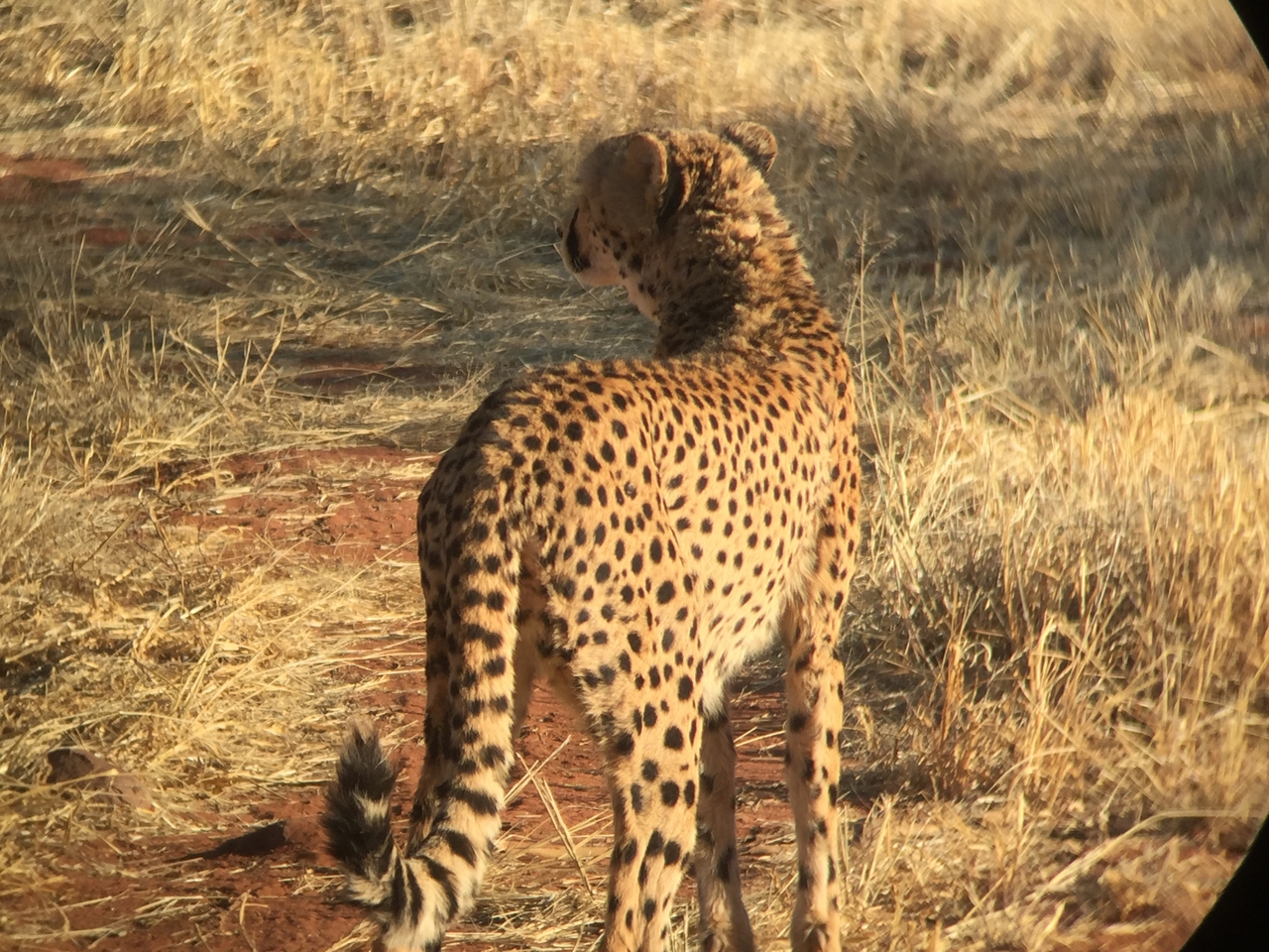 [9232] 2016_06_23_15_48_10_Africa_iPhone_6_IMG_7907_00491.jpg