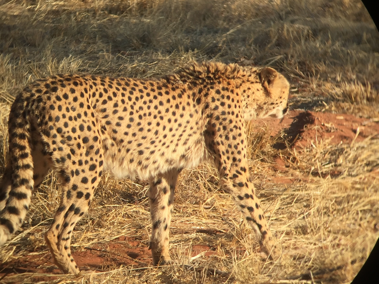 [9234] 2016_06_23_15_48_13_Africa_iPhone_6_IMG_7908_00492.jpg