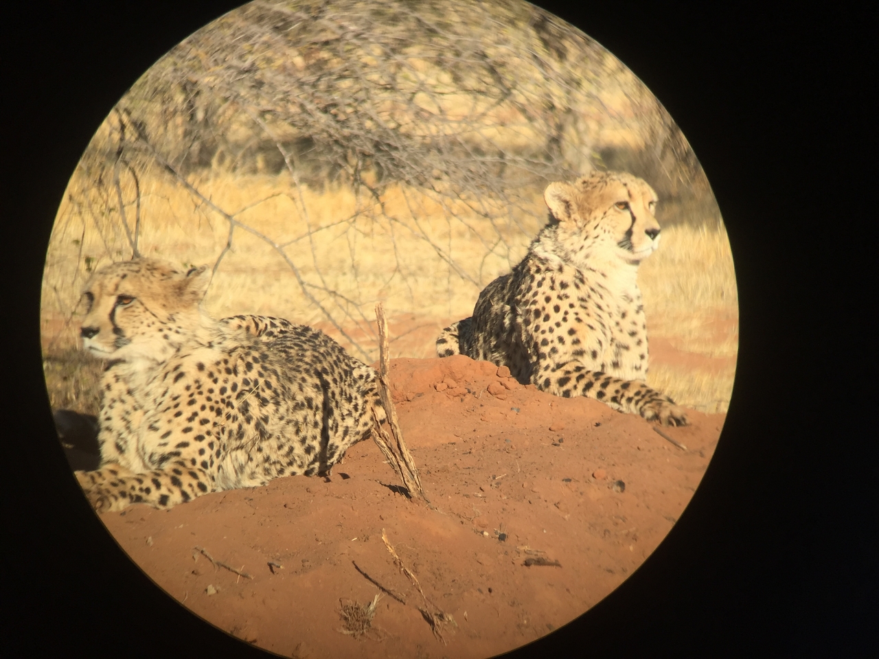 [9255] 2016_06_23_15_53_04_Africa_iPhone_6_IMG_7919_02843.jpg