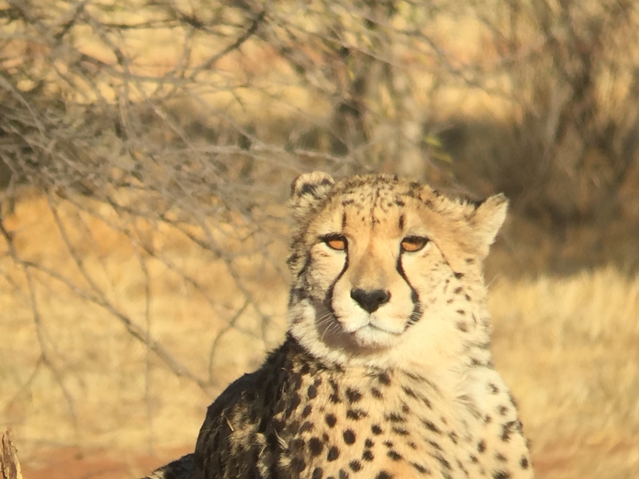 [9264] 2016_06_23_15_53_24_Africa_iPhone_6_IMG_7924_00507.jpg