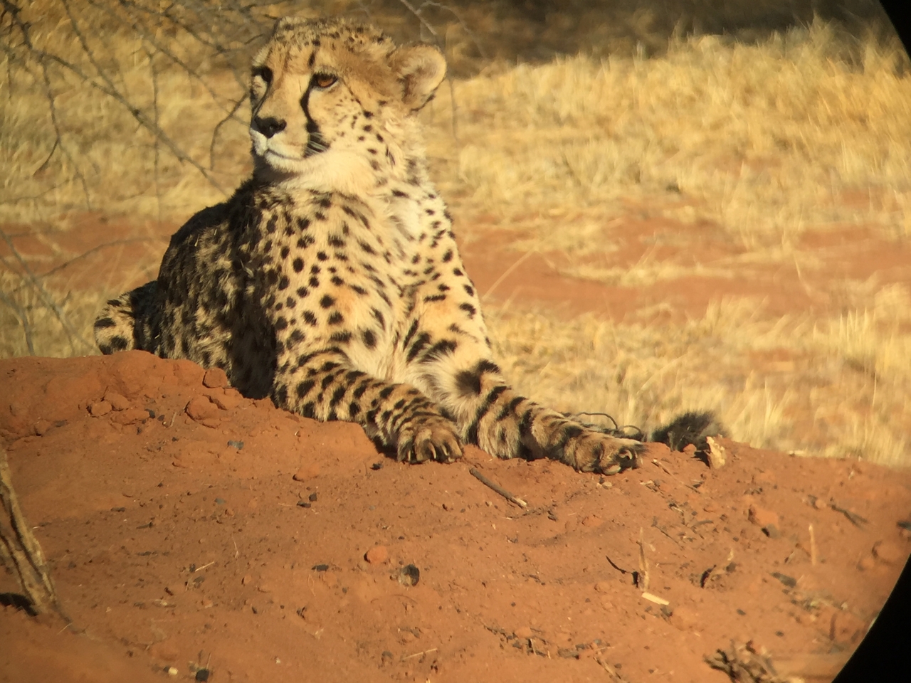 [9273] 2016_06_23_15_57_01_Africa_iPhone_6_IMG_7928_02852.jpg