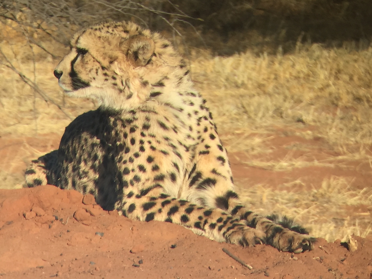 [9282] 2016_06_23_15_59_35_Africa_iPhone_6_IMG_7933_00516.jpg