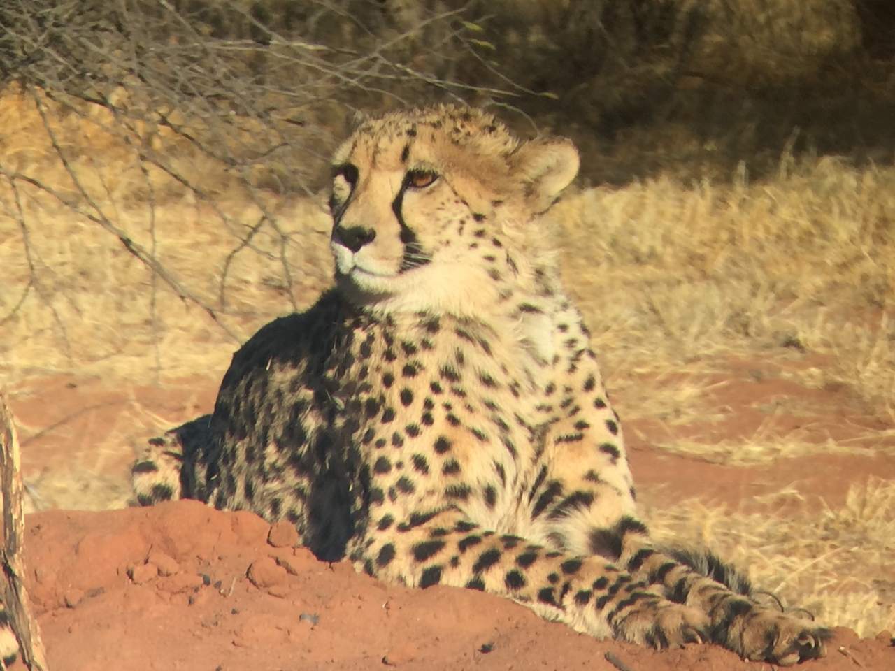 [9285] 2016_06_23_15_59_43_Africa_iPhone_6_IMG_7934_02858.jpg