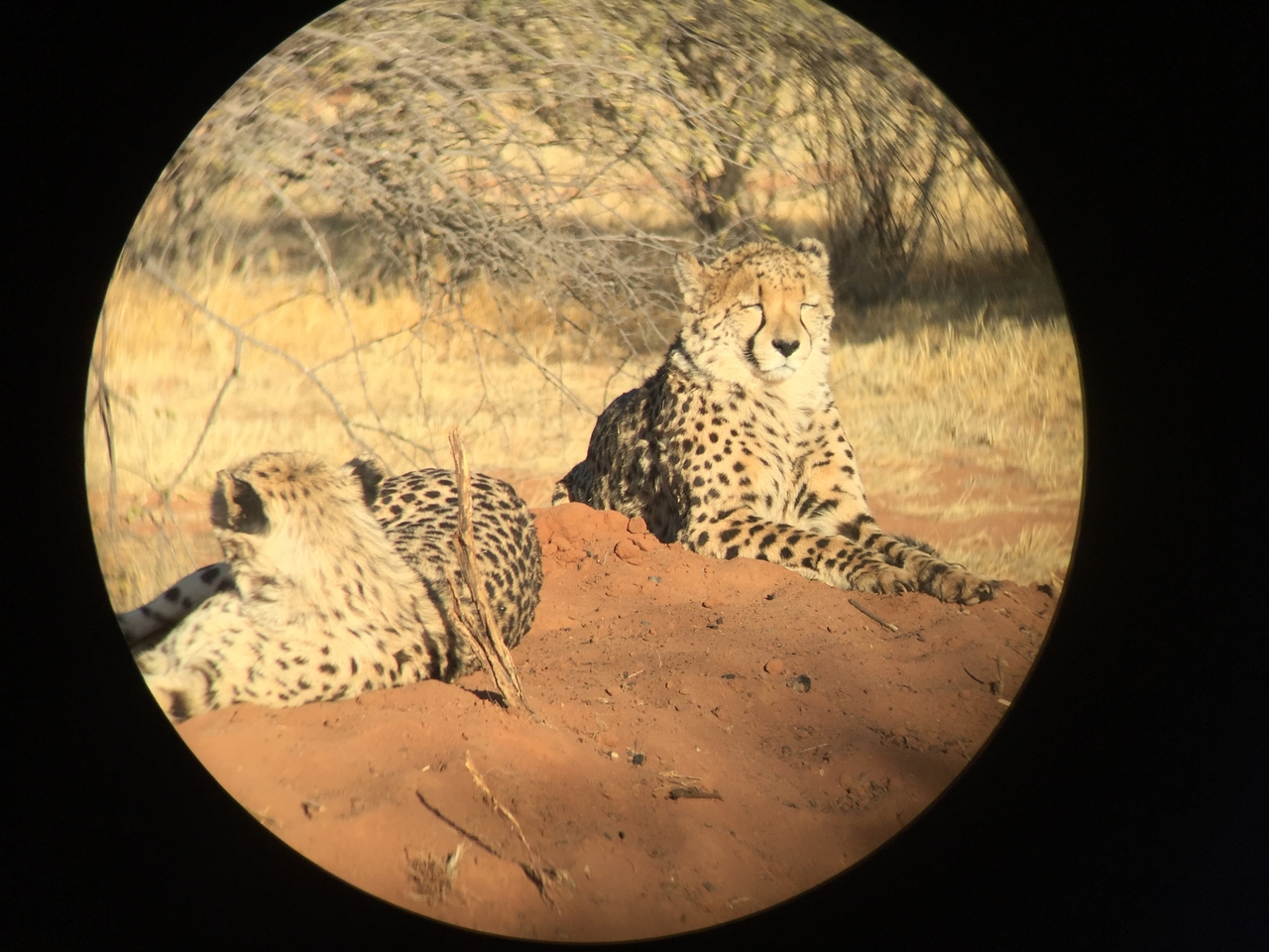 [9287] 2016_06_23_16_06_25_Africa_iPhone_6_IMG_7936_02859.jpg