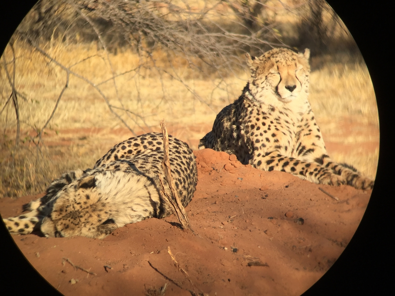 [9301] 2016_06_23_16_09_18_Africa_iPhone_6_IMG_7943_02866.jpg