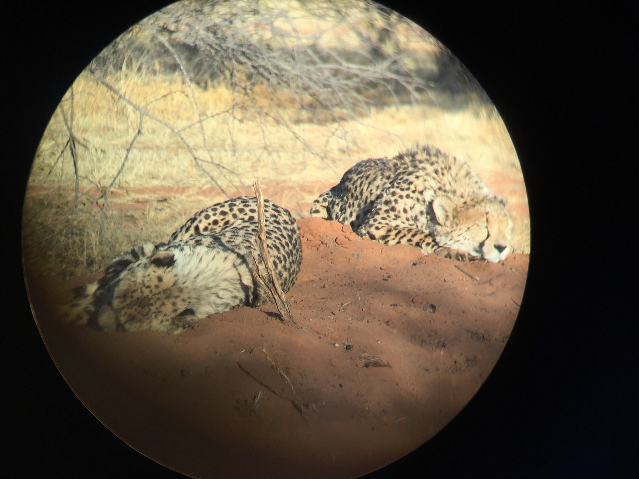 [9303] 2016_06_23_16_11_00_Africa_iPhone_6_IMG_7944_02867.jpg