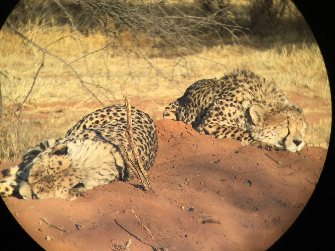 [9307] 2016_06_23_16_11_10_Africa_iPhone_6_IMG_7946_02869.jpg