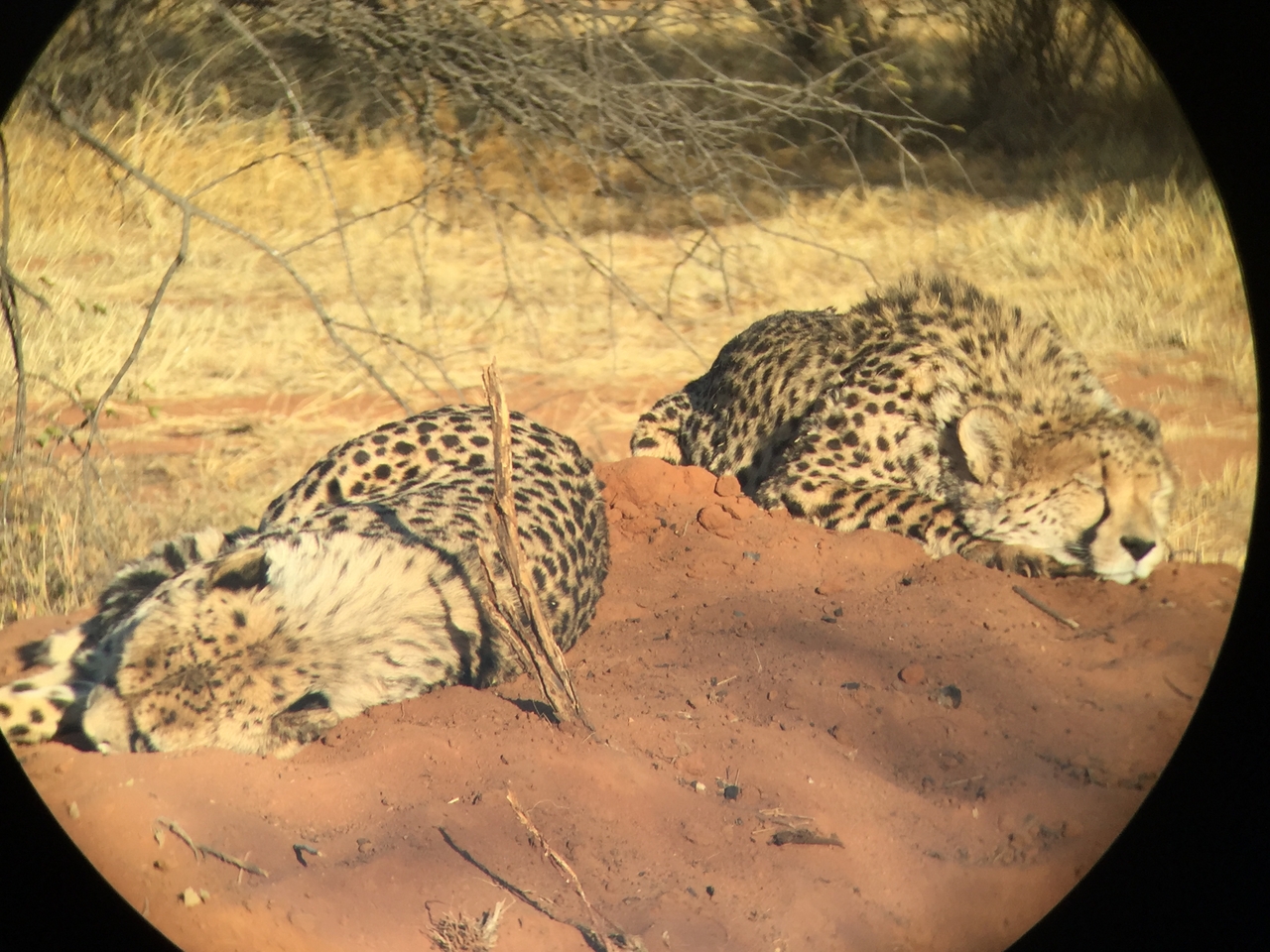 [9308] 2016_06_23_16_11_14_Africa_iPhone_6_IMG_7947_00529.jpg