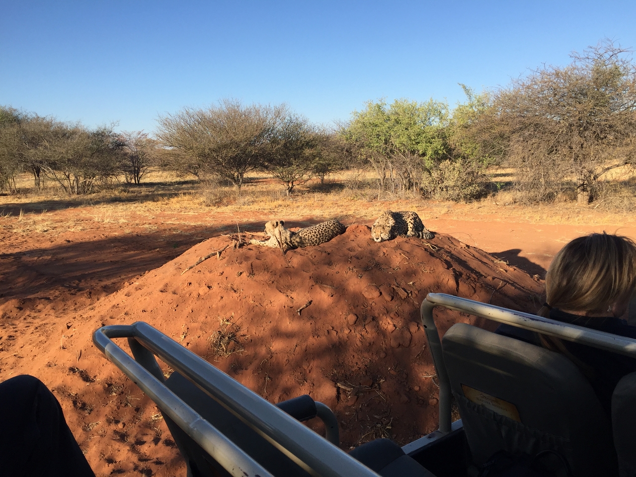 [9319] 2016_06_23_16_13_16_Africa_iPhone_6_IMG_7952_02875.jpg