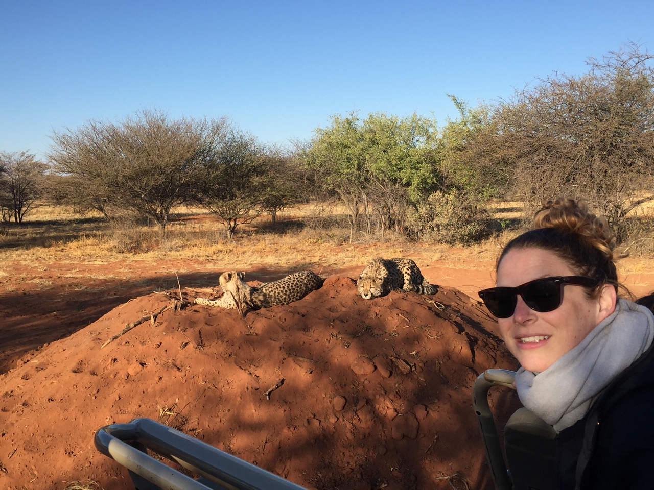 [9327] 2016_06_23_16_13_20_Africa_iPhone_6_IMG_7956_02879.jpg