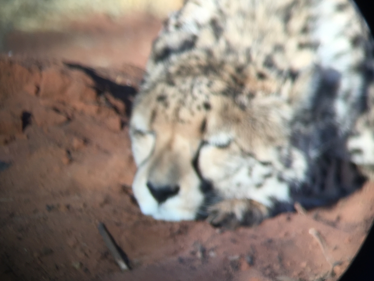 [9340] 2016_06_23_16_14_14_Africa_iPhone_6_IMG_7963_00545.jpg