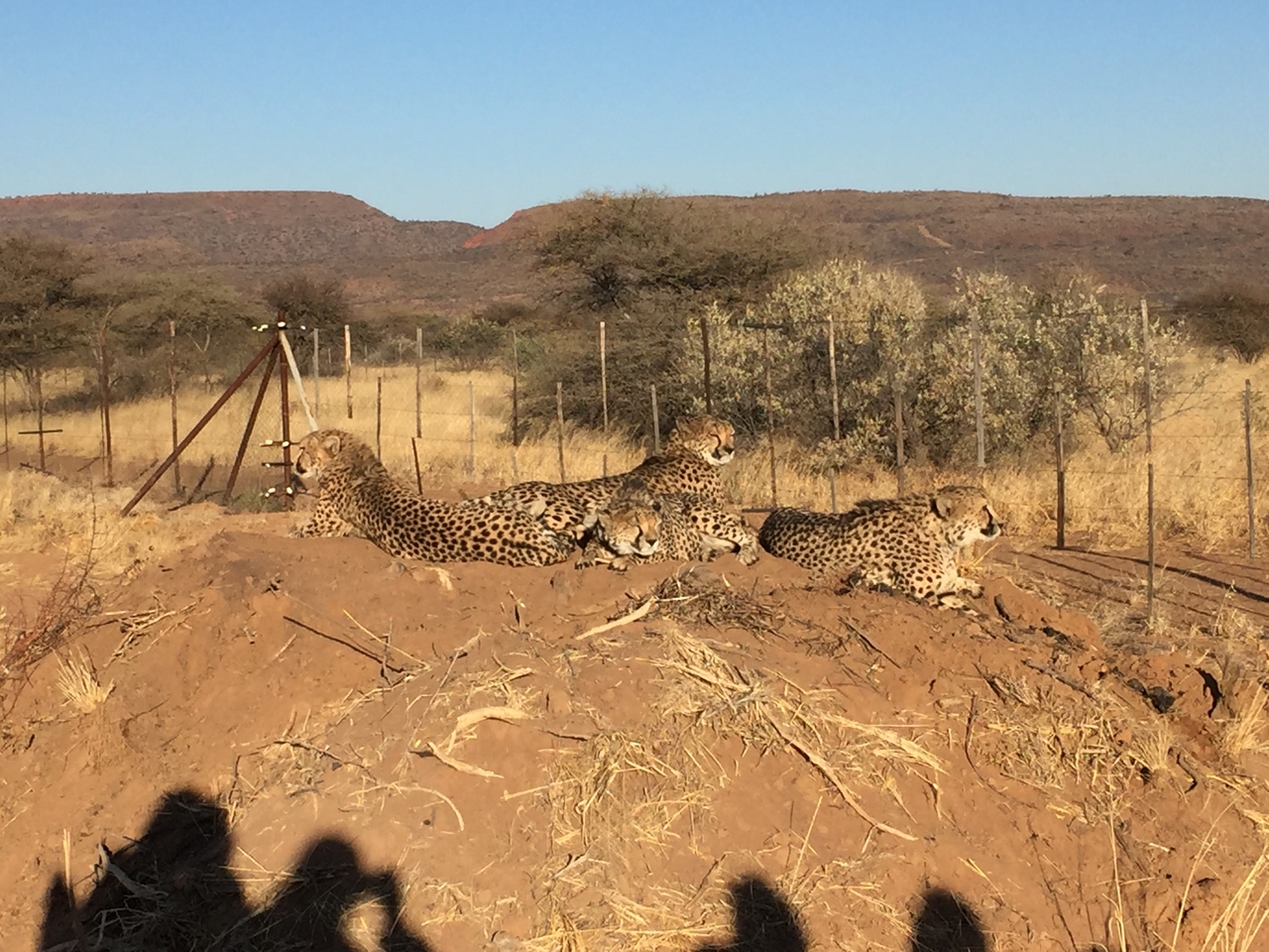 [9376] 2016_06_23_16_19_45_Africa_iPhone_6_IMG_7973_02896.jpg