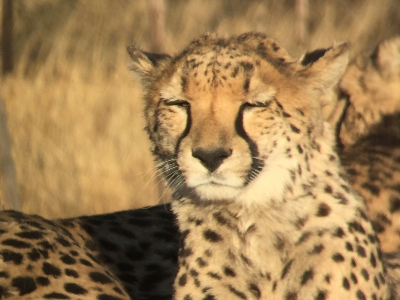 [9379] 2016_06_23_16_20_09_Africa_iPhone_6_IMG_7975_00557.jpg