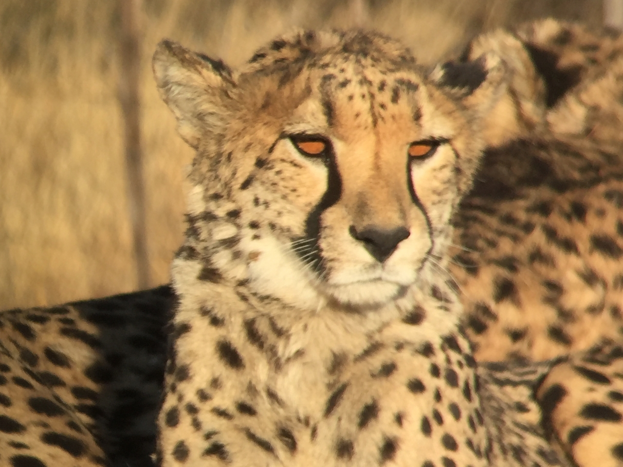 [9382] 2016_06_23_16_20_10_Africa_iPhone_6_IMG_7976_02899.jpg