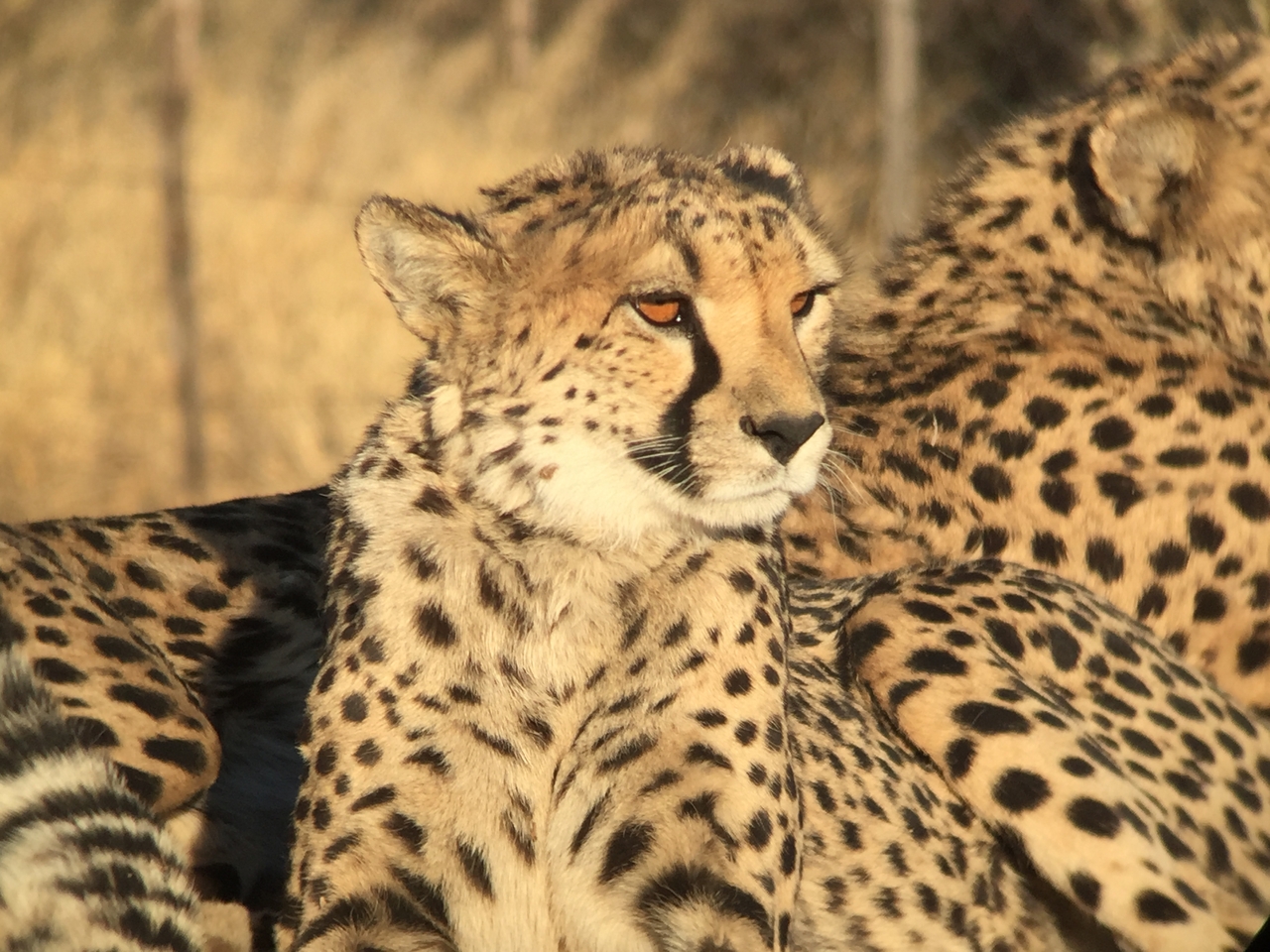 [9393] 2016_06_23_16_21_27_Africa_iPhone_6_IMG_7982_00564.jpg