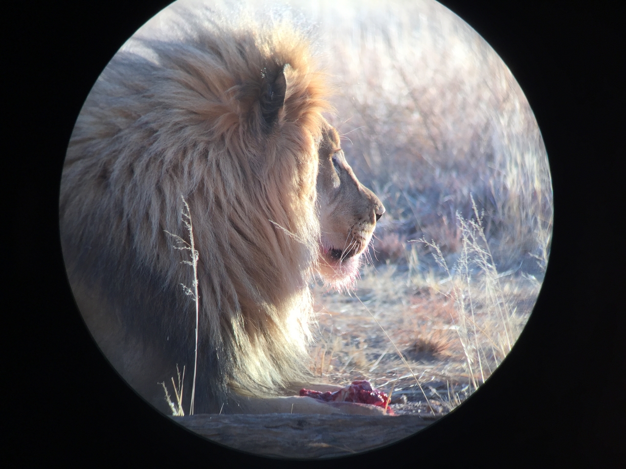 [9433] 2016_06_23_16_45_37_Africa_iPhone_6_IMG_8004_00004.jpg