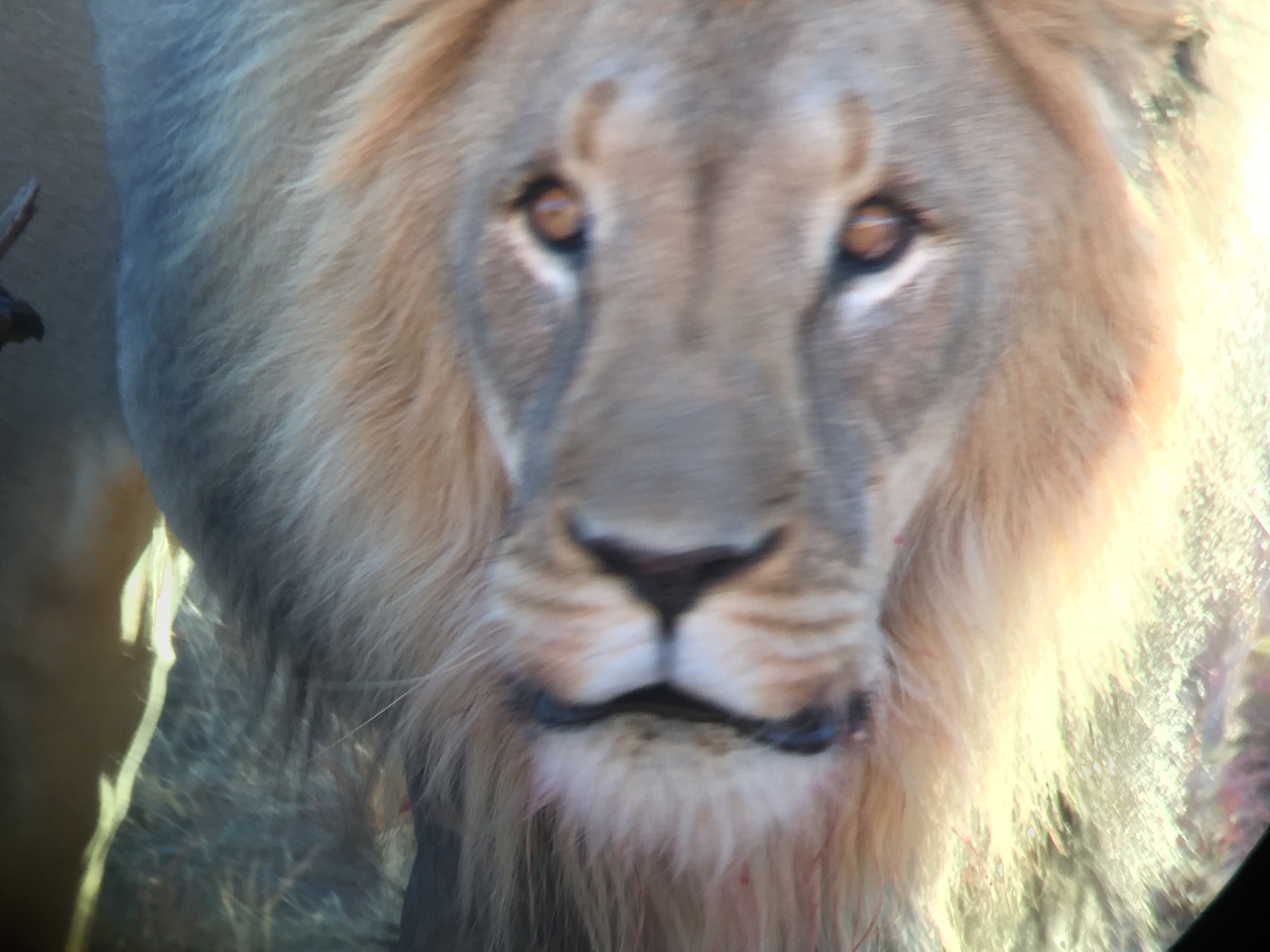 [9468] 2016_06_23_16_52_53_Africa_iPhone_6_IMG_8015_02938.jpg