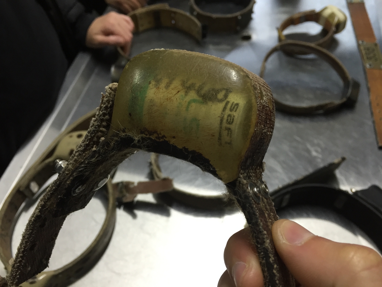 [9494] 2016_06_23_17_18_23_Africa_iPhone_6_IMG_8025_00606.jpg