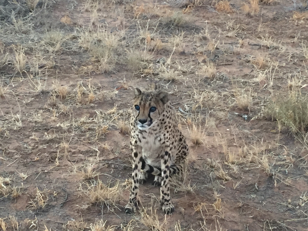 [9543] 2016_06_23_17_28_43_Africa_iPhone_6_IMG_8033_00030.jpg