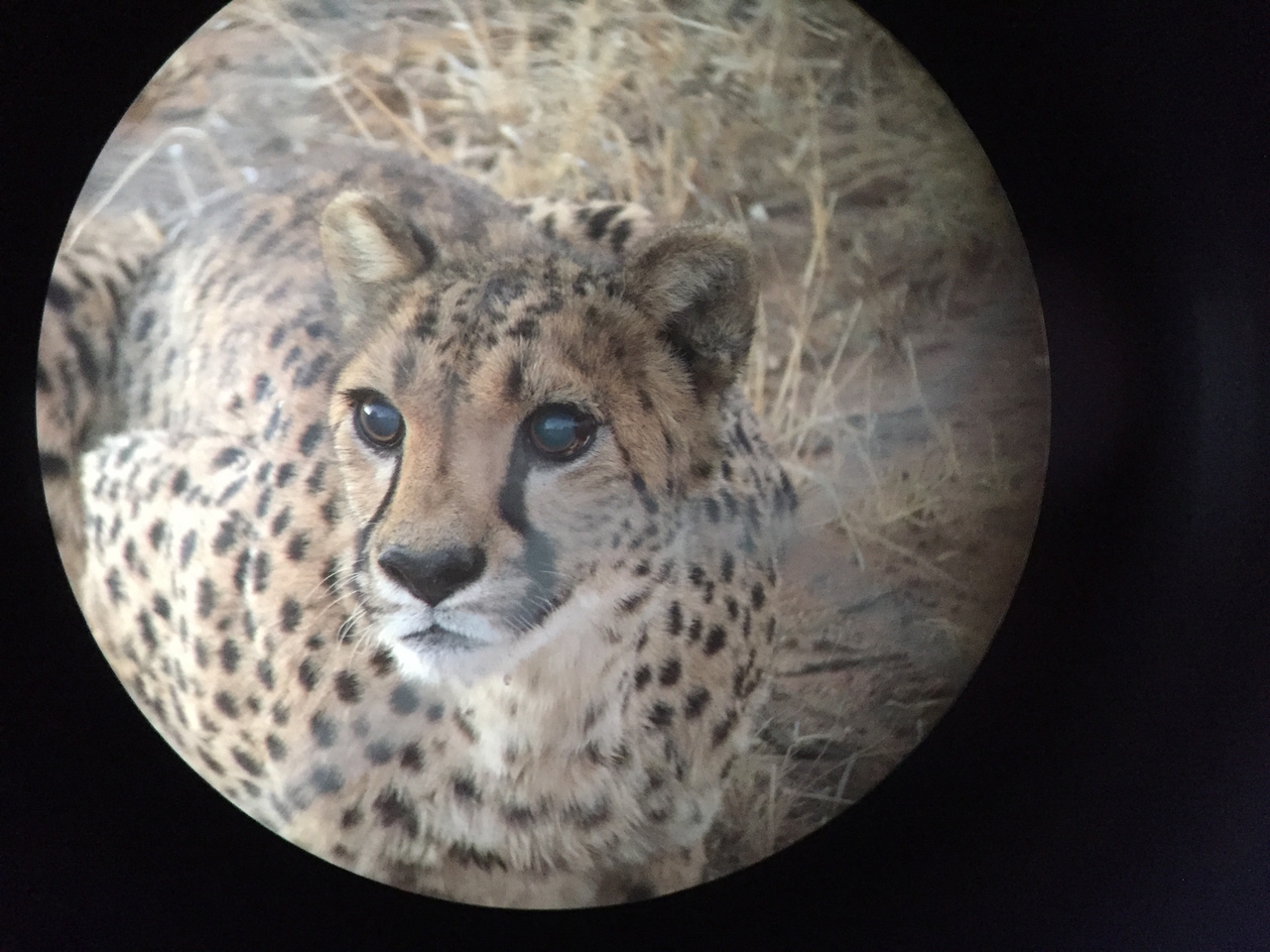 [9548] 2016_06_23_17_29_43_Africa_iPhone_6_IMG_8034_02954.jpg