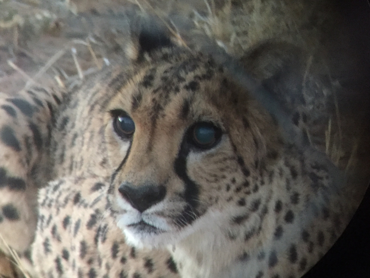 [9560] 2016_06_23_17_29_53_Africa_iPhone_6_IMG_8038_02958.jpg