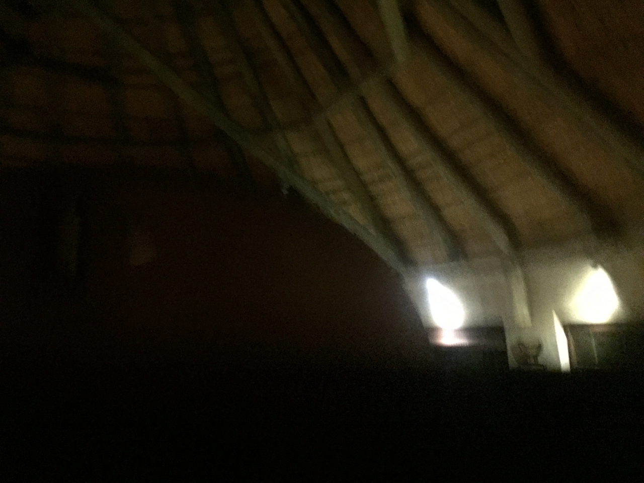 [13698] 2016_06_23_22_50_09_Africa_iPhone_6_IMG_8066_00644.jpg