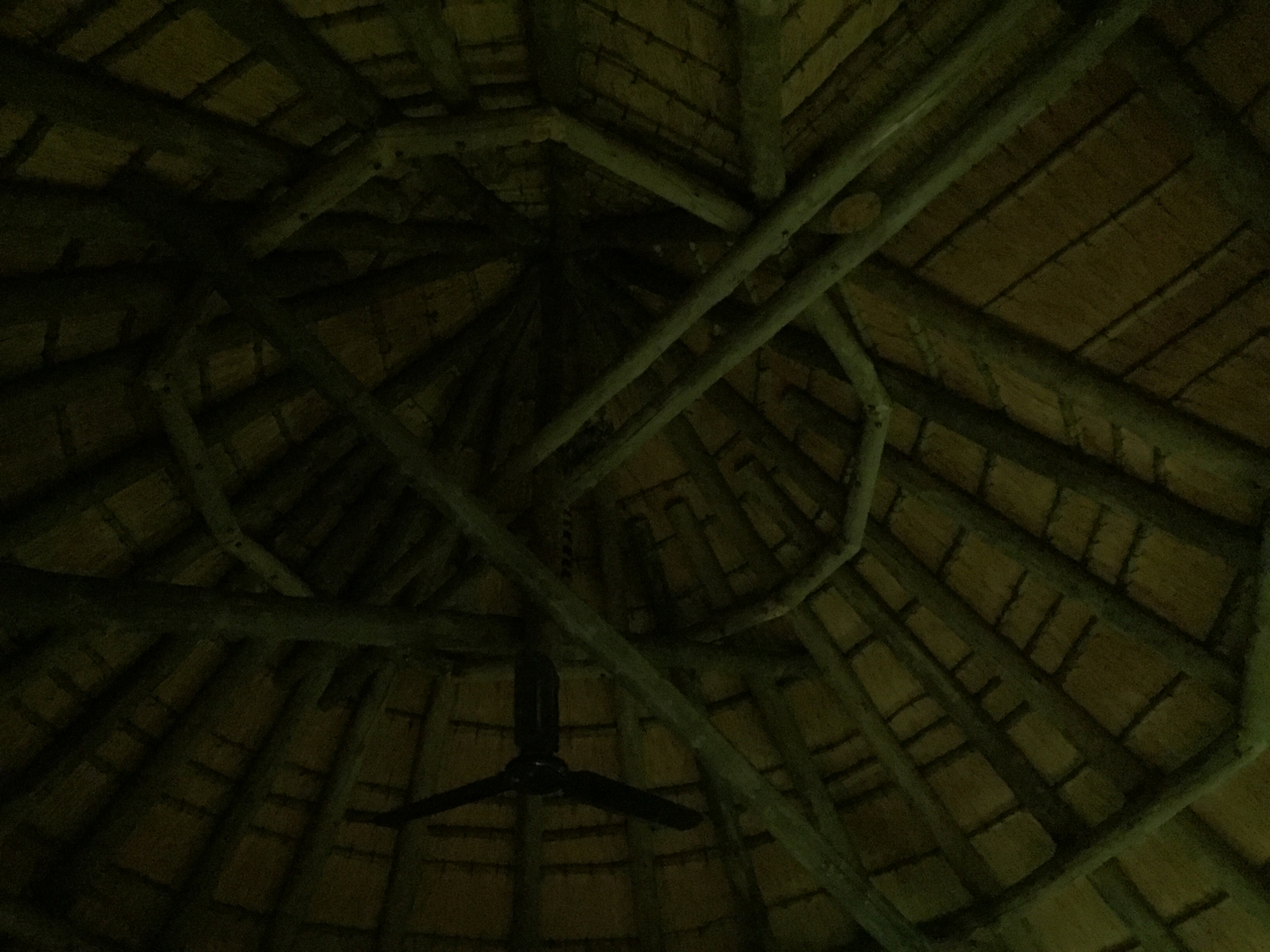 [13701] 2016_06_23_22_50_18_Africa_iPhone_6_IMG_8067_00645.jpg