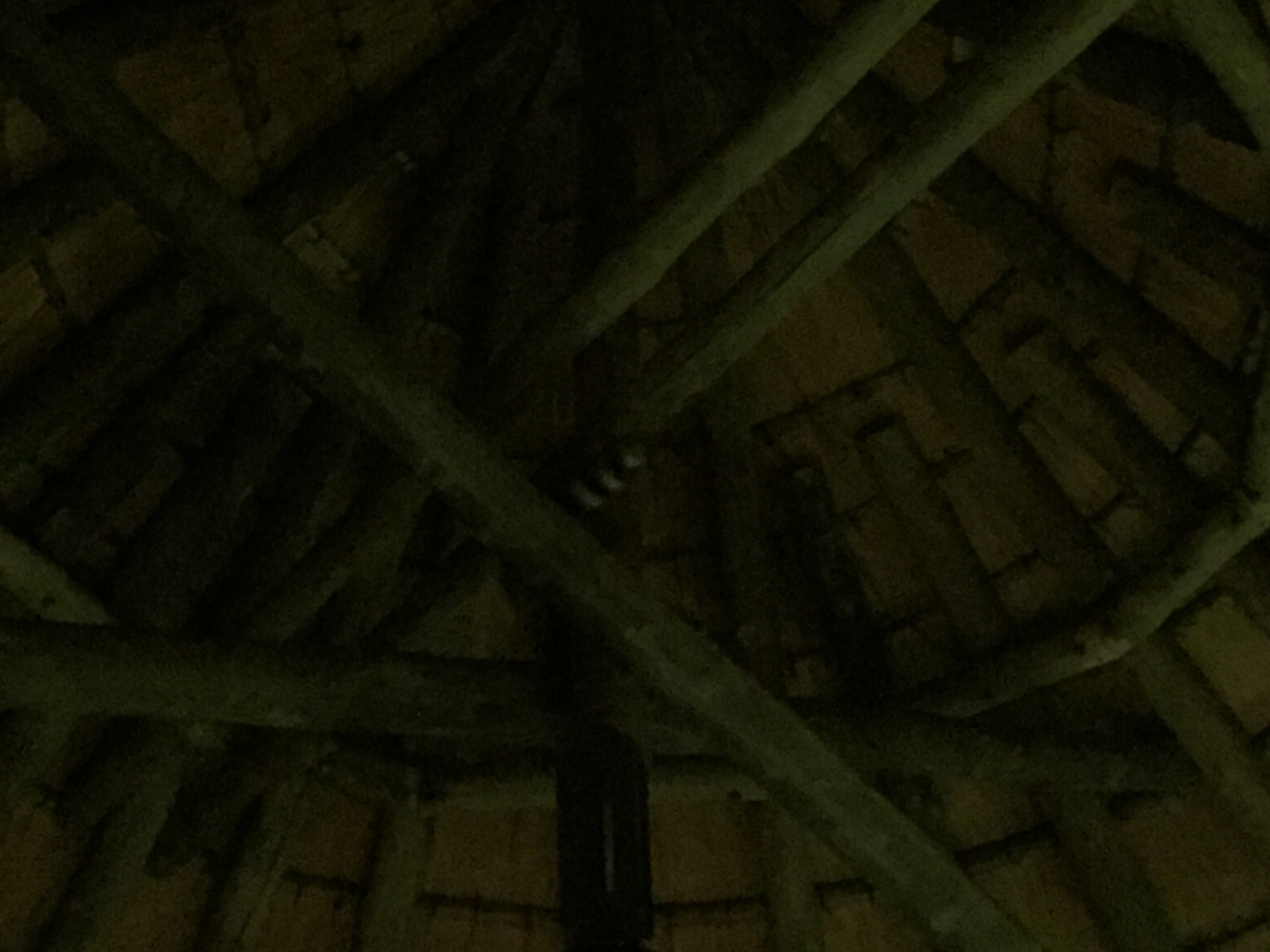 [13704] 2016_06_23_22_50_24_Africa_iPhone_6_IMG_8068_00646.jpg