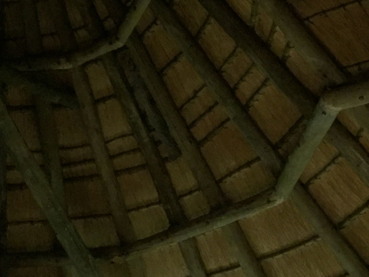 [13712] 2016_06_23_22_51_50_Africa_iPhone_6_IMG_8071_00067.jpg