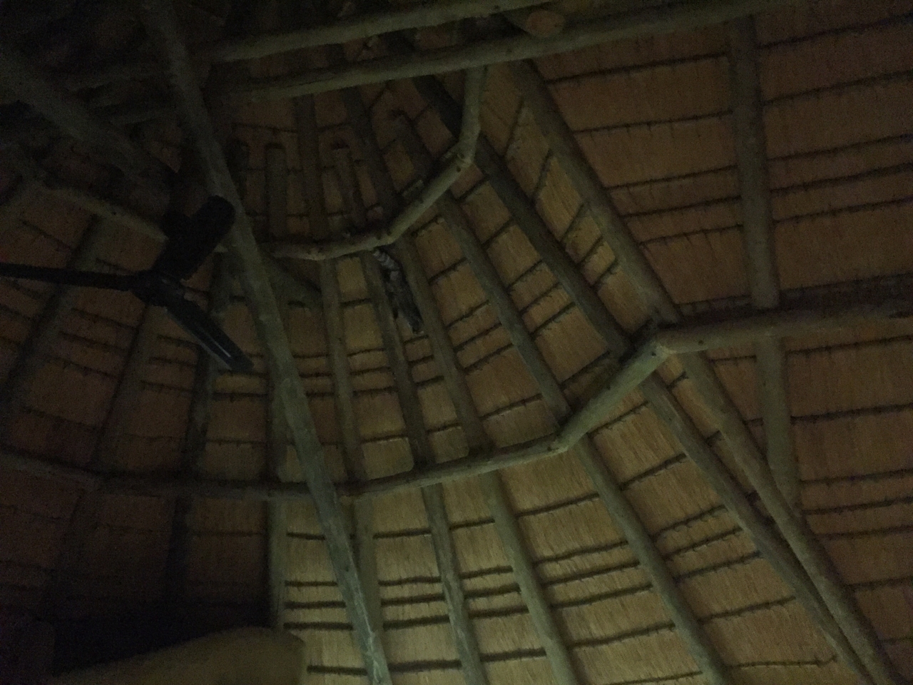 [13718] 2016_06_23_22_53_46_Africa_iPhone_6_IMG_8073_00069.jpg