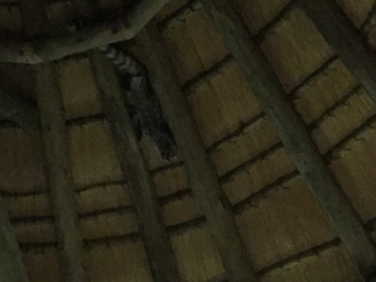 [13721] 2016_06_23_22_53_50_Africa_iPhone_6_IMG_8074_00070.jpg