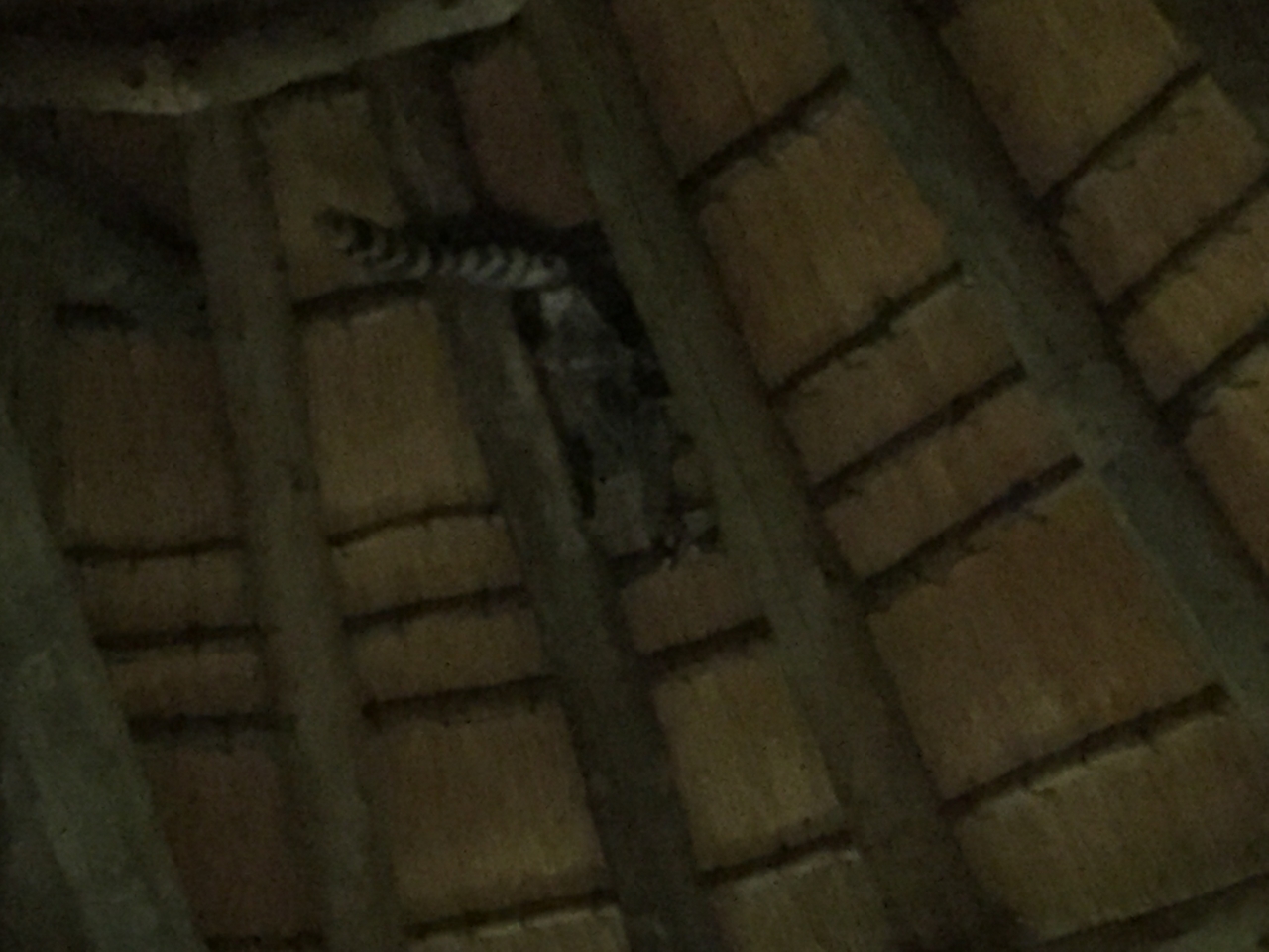 [13724] 2016_06_23_22_53_57_Africa_iPhone_6_IMG_8075_00071.jpg