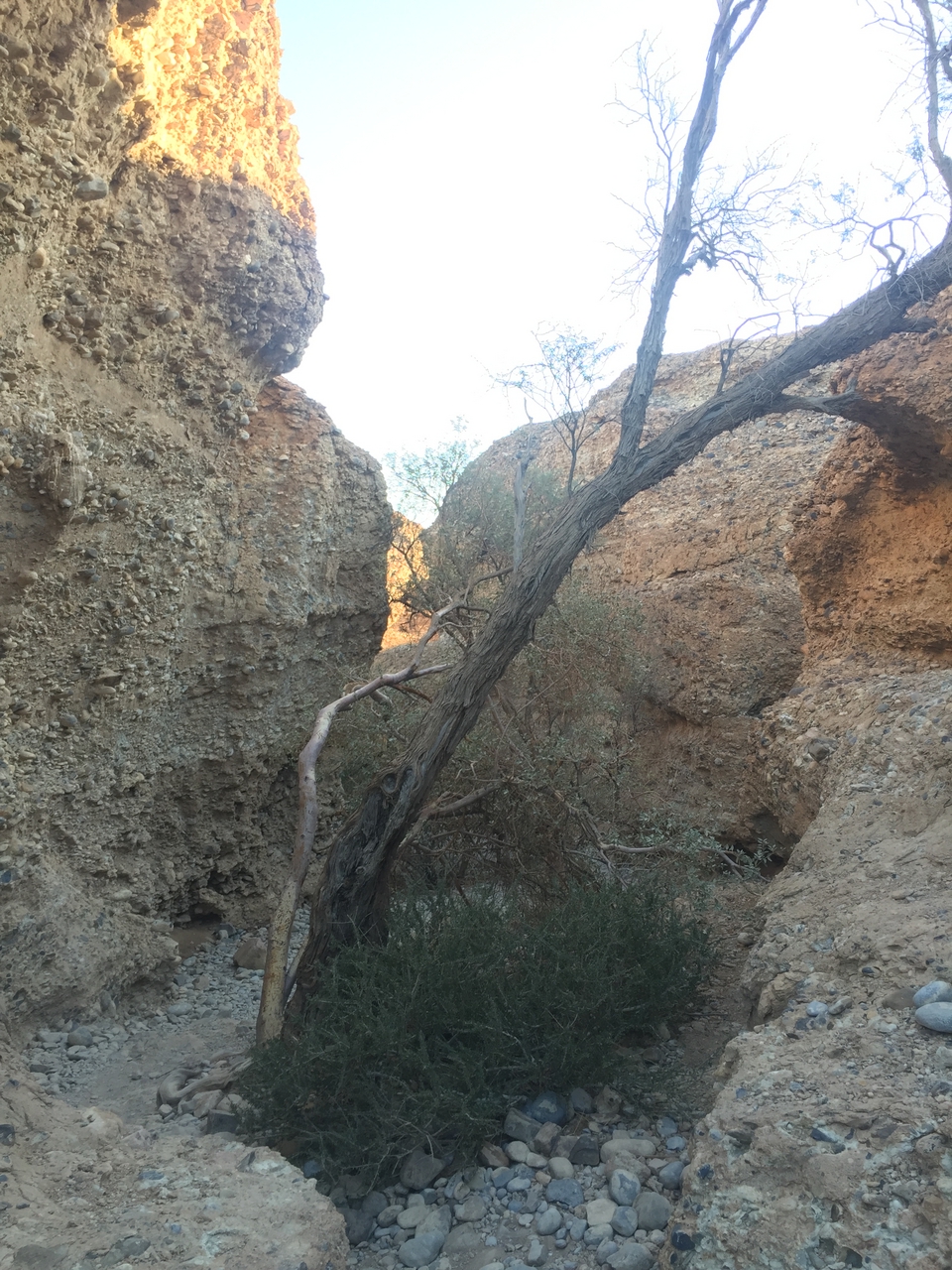 [14146] 2016_06_24_16_36_58_Africa_iPhone_6_IMG_8099_00672.jpg