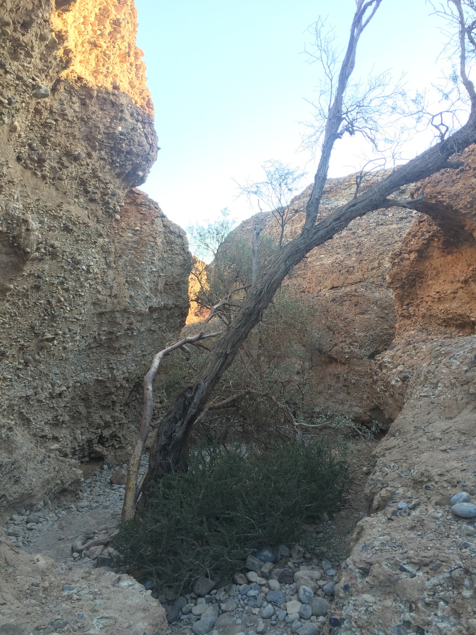 [14150] 2016_06_24_16_37_01_Africa_iPhone_6_IMG_8100_03014.jpg