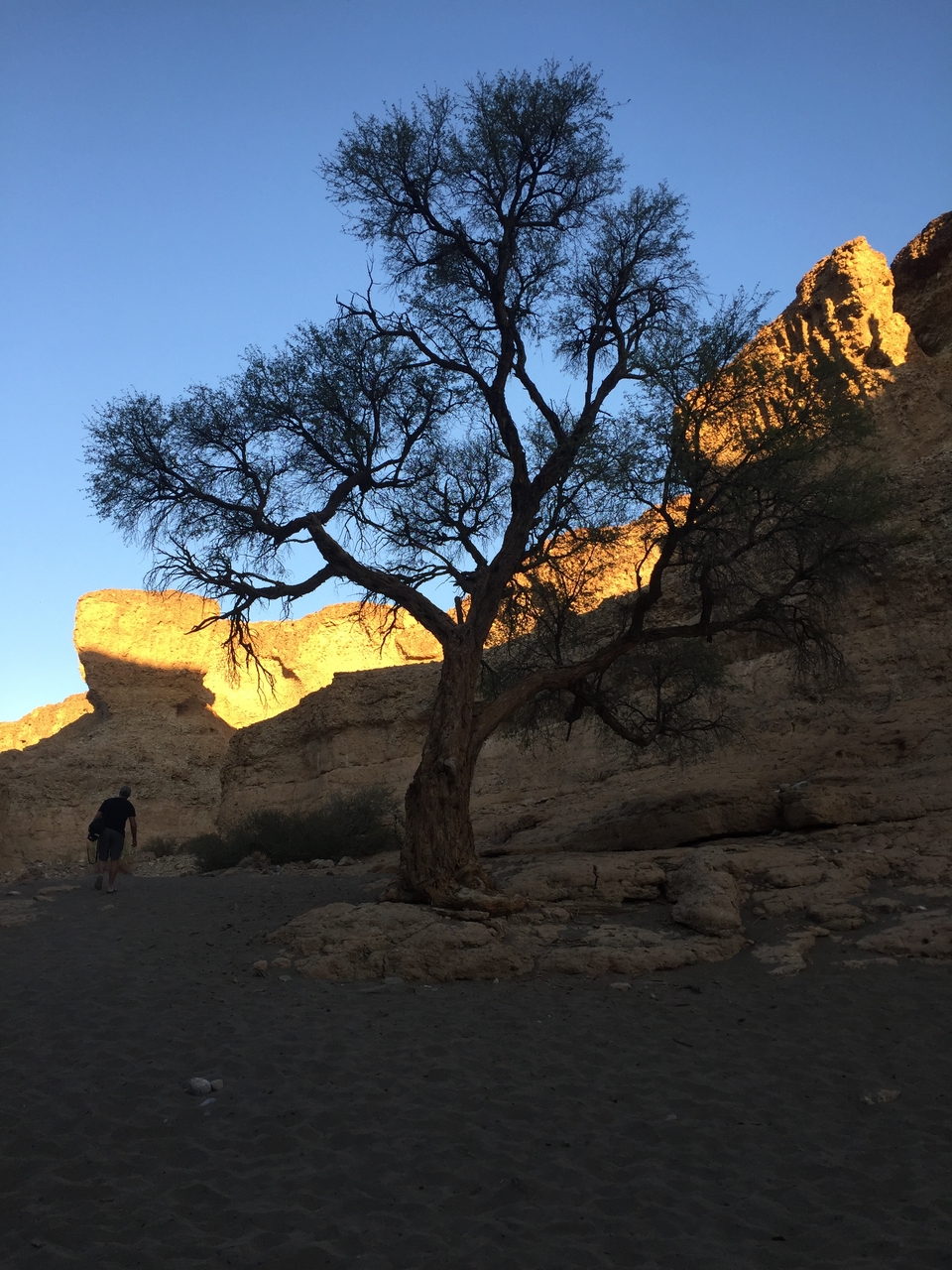 [14191] 2016_06_24_16_44_58_Africa_iPhone_6_IMG_8108_00681.jpg