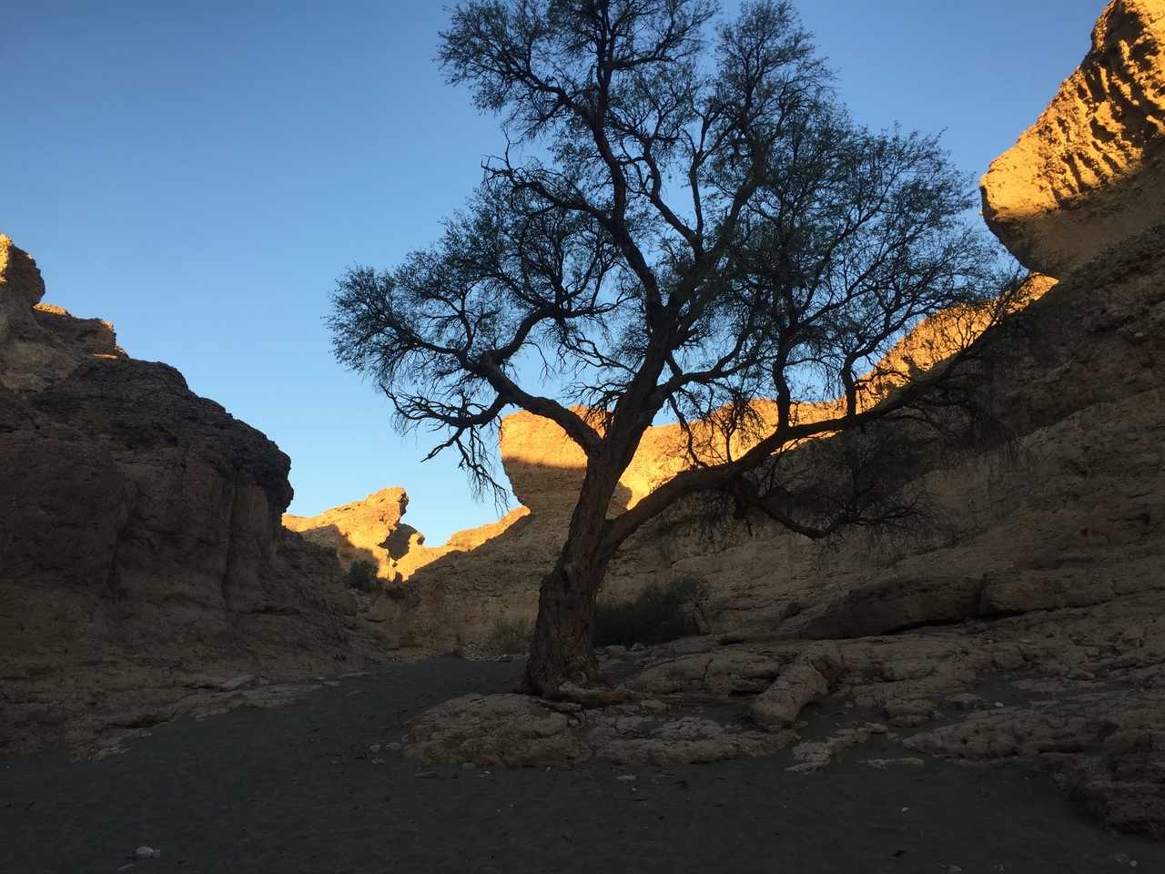 [14203] 2016_06_24_16_46_40_Africa_iPhone_6_IMG_8111_03025.jpg