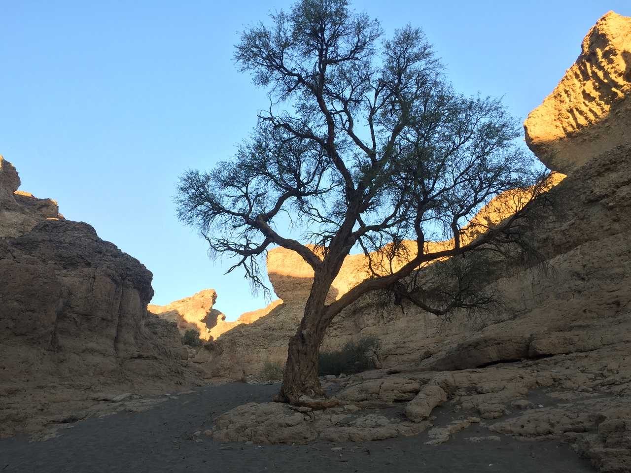 [14204] 2016_06_24_16_46_46_Africa_iPhone_6_IMG_8112_00103.jpg