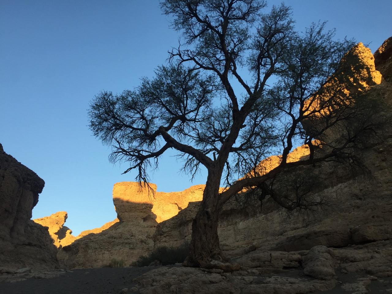 [14207] 2016_06_24_16_46_56_Africa_iPhone_6_IMG_8113_00104.jpg