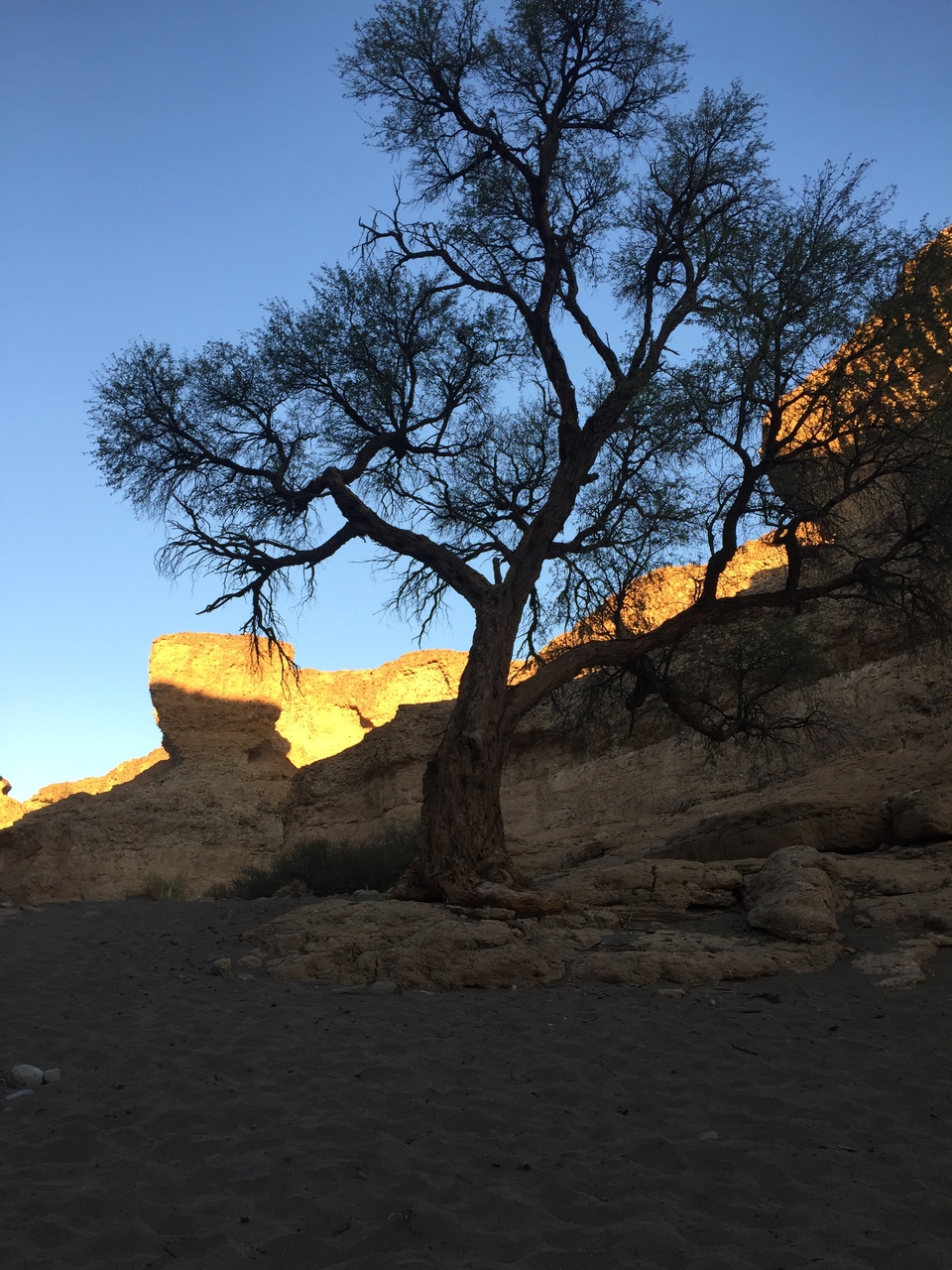 [14214] 2016_06_24_16_47_09_Africa_iPhone_6_IMG_8115_00688.jpg