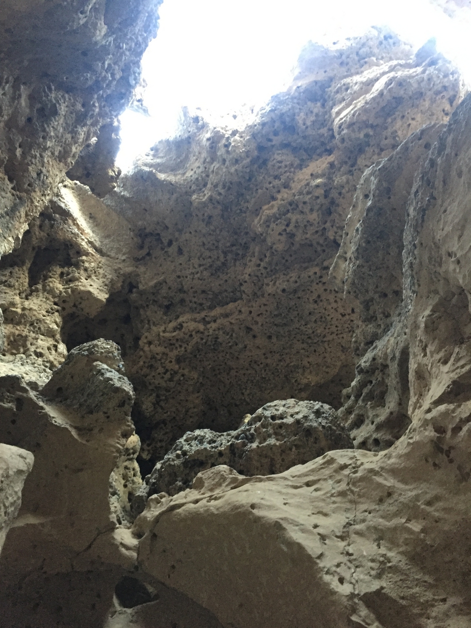 [14261] 2016_06_24_17_01_21_Africa_iPhone_6_IMG_8126_00699.jpg