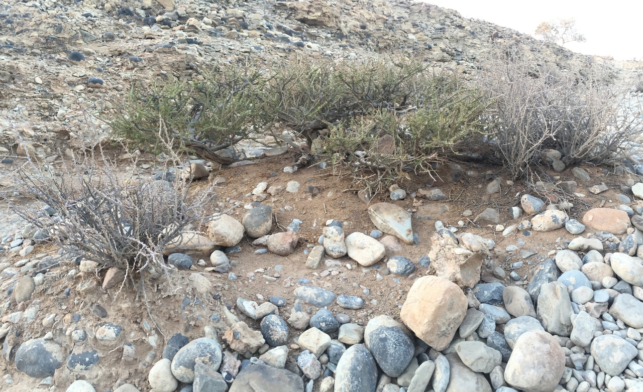 [14275] 2016_06_24_17_11_06_Africa_iPhone_6_IMG_8129_03043.jpg