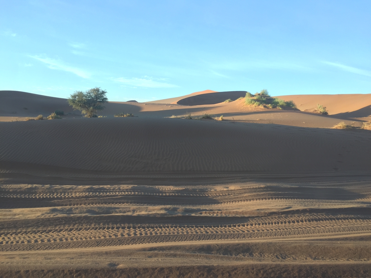 [15461] 2016_06_25_07_15_15_Africa_iPhone_6_IMG_8163_00152.jpg