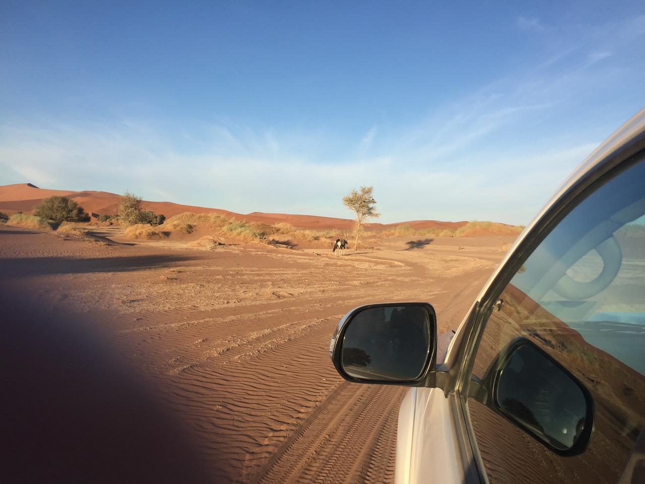 [15512] 2016_06_25_07_28_51_Africa_iPhone_6_IMG_8166_03078.jpg