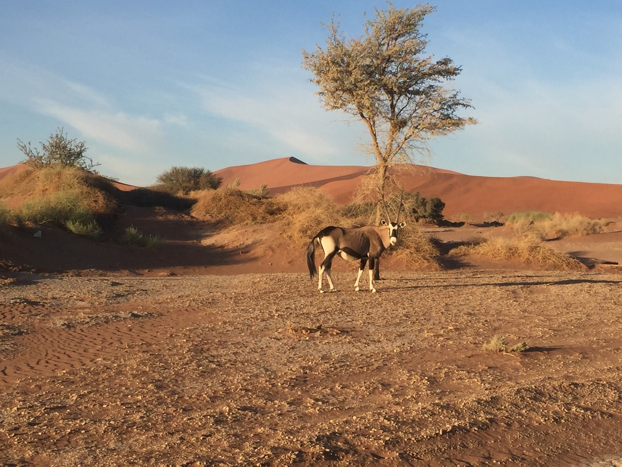 [15513] 2016_06_25_07_28_56_Africa_iPhone_6_IMG_8167_00156.jpg