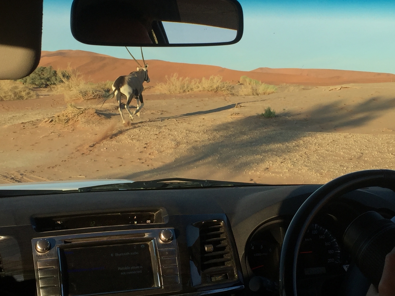 [15517] 2016_06_25_07_29_08_Africa_iPhone_6_IMG_8168_00739.jpg