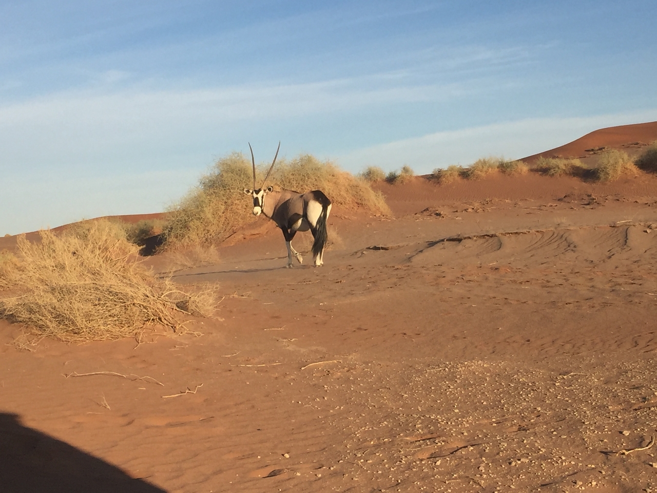 [15519] 2016_06_25_07_29_13_Africa_iPhone_6_IMG_8169_00158.jpg