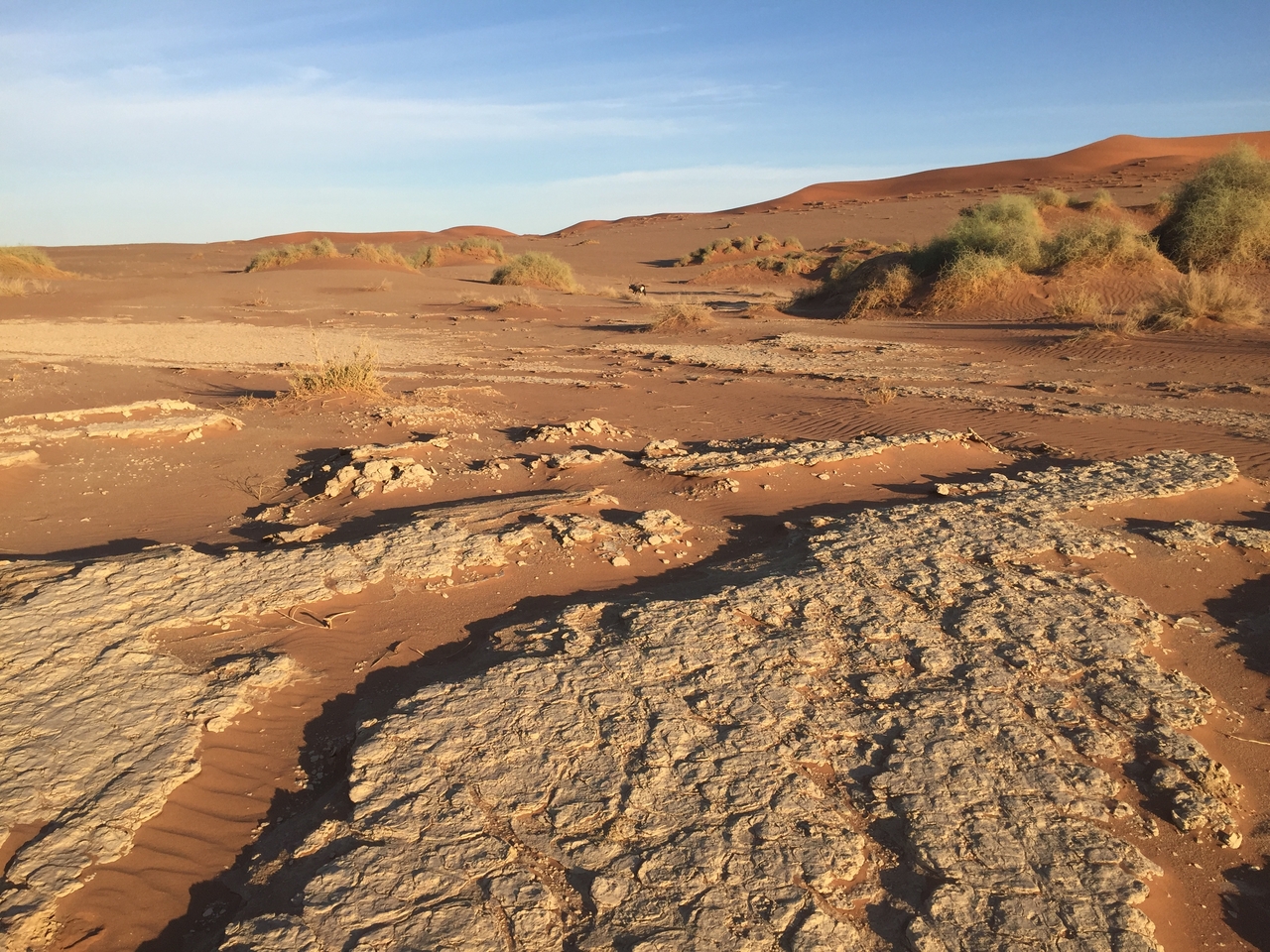 [15531] 2016_06_25_07_31_24_Africa_iPhone_6_IMG_8173_00162.jpg