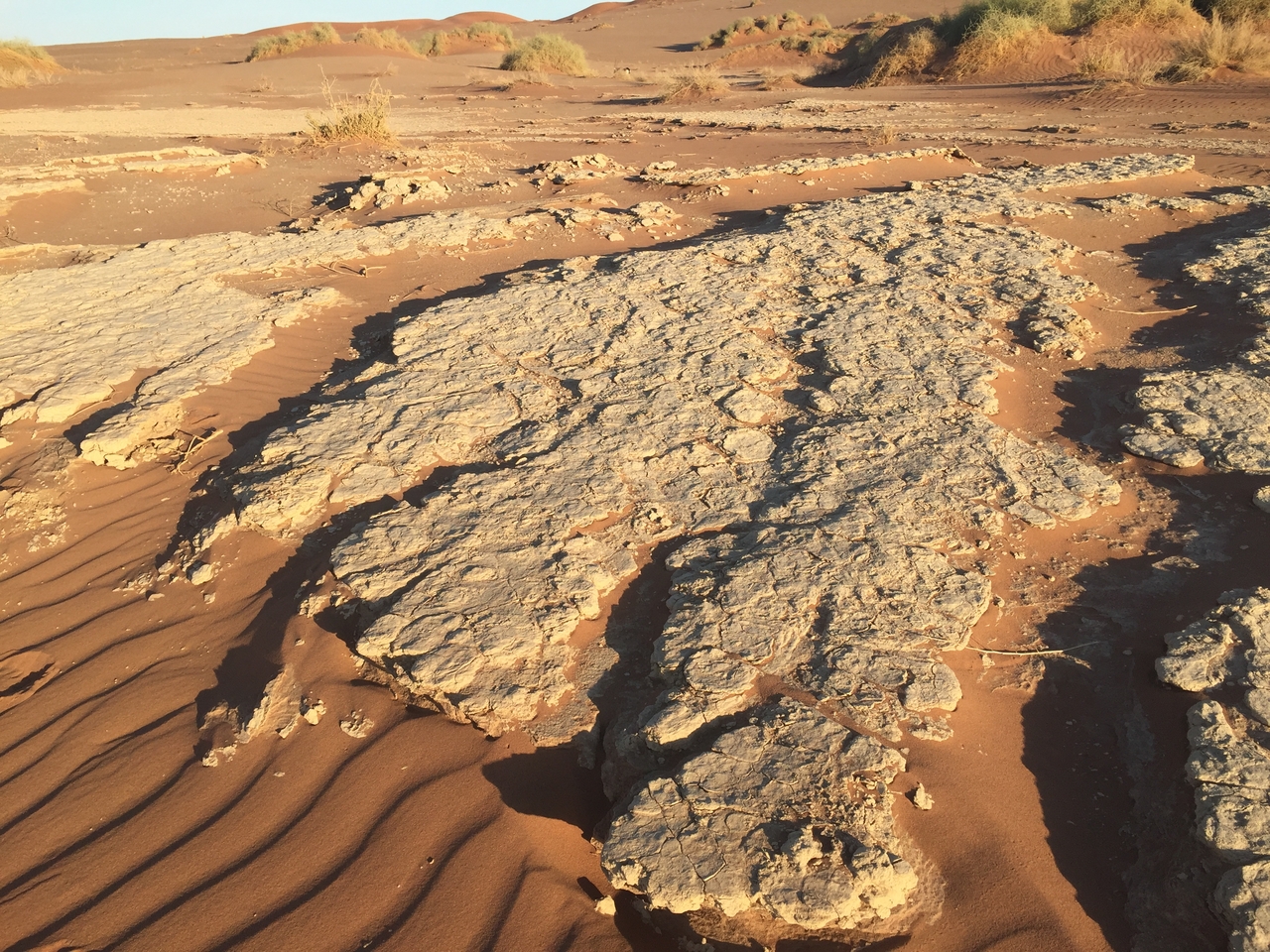 [15536] 2016_06_25_07_31_28_Africa_iPhone_6_IMG_8174_03086.jpg