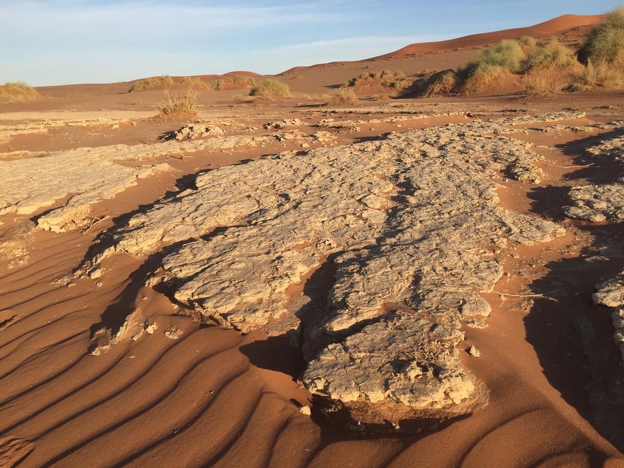 [15538] 2016_06_25_07_31_33_Africa_iPhone_6_IMG_8175_00746.jpg