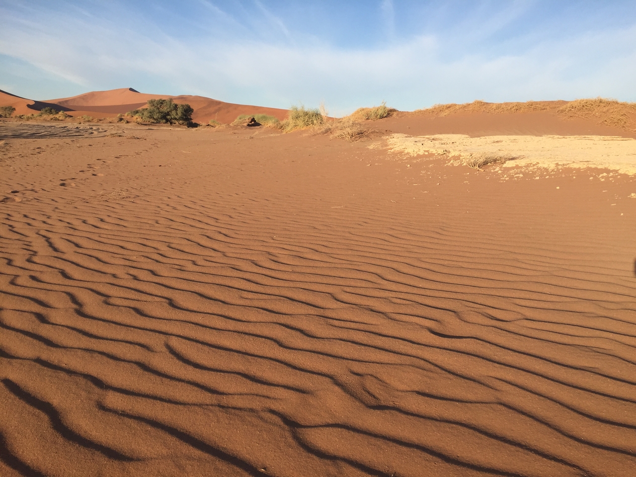 [15577] 2016_06_25_07_37_47_Africa_iPhone_6_IMG_8176_00747.jpg